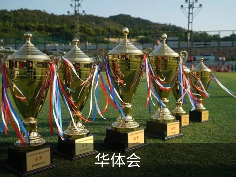 企业简介